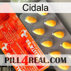 Cidala new01